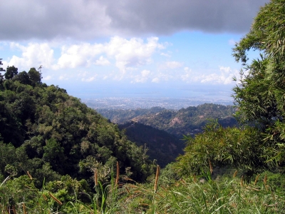 Touristic attractions of Jamaica : Blue Mountains