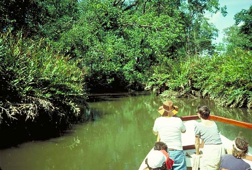 Attraits touristiques au Costa Rica : Tortuguero National Park
