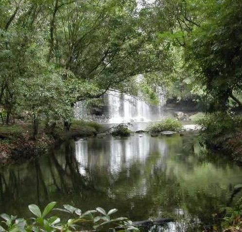 Attraits touristiques au Costa Rica : Monteverde Cloud Forest Reserve